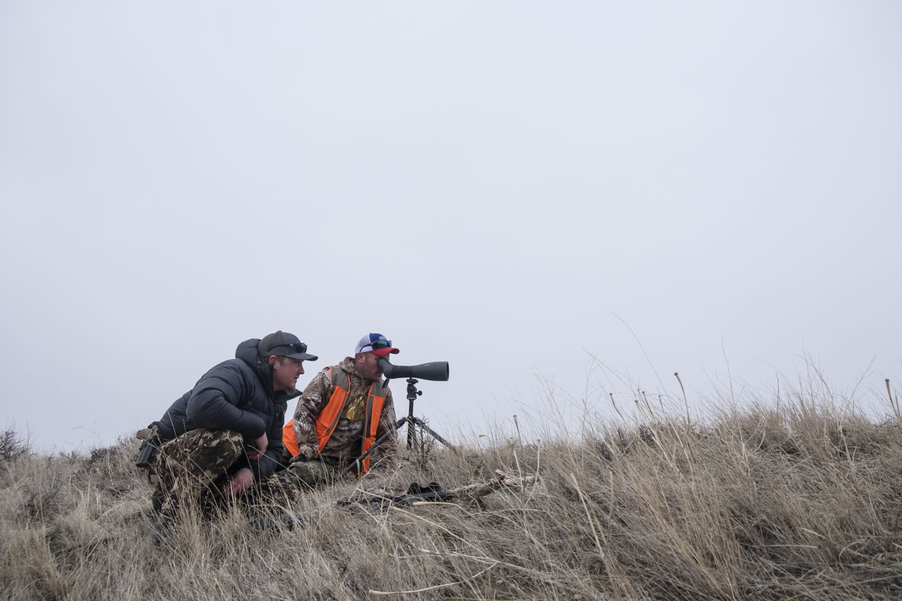 APR Bison Harvest